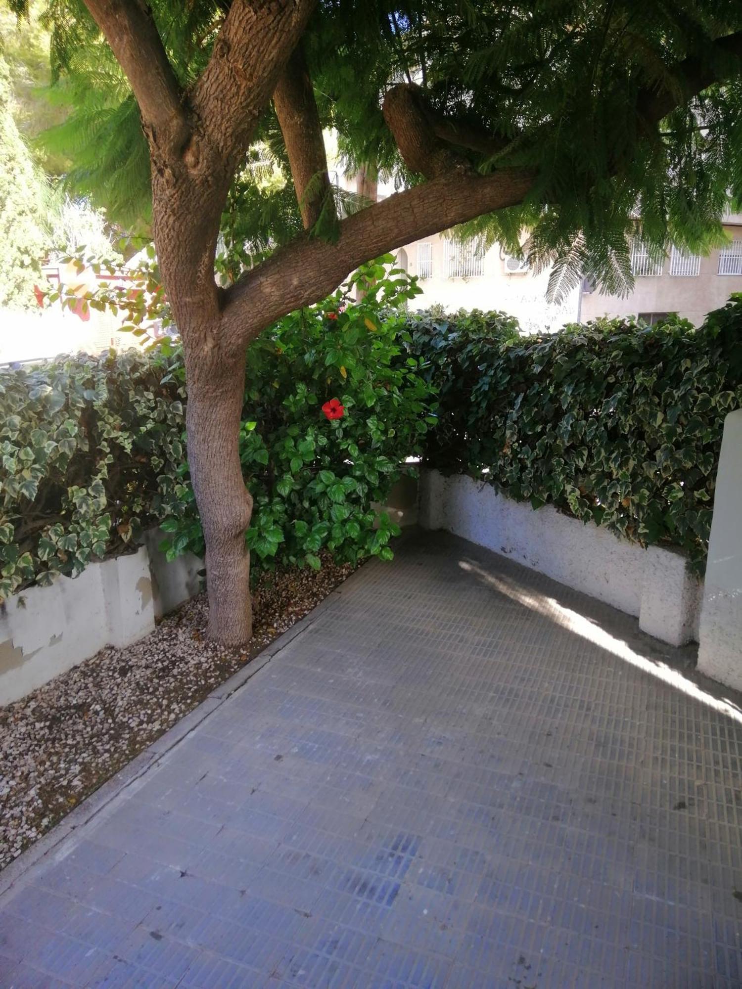 סן פדרו דל פינטר Chalet II Con Jardin Y Wifi En La Playa מראה חיצוני תמונה